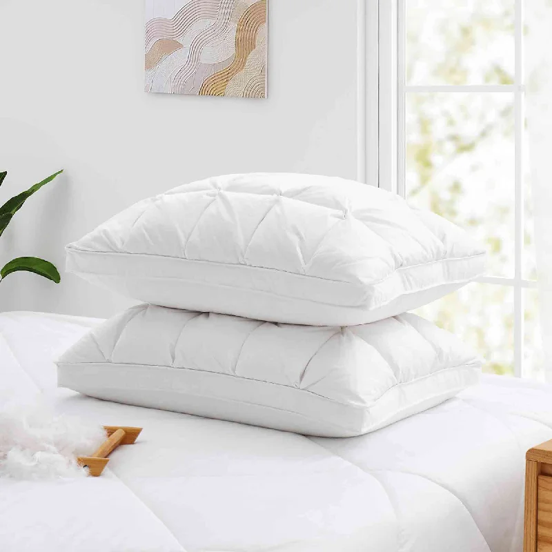 2 Pack Luxury Puffy Down Pillows